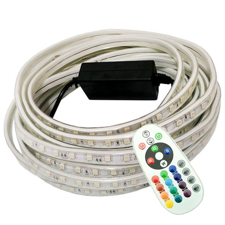 ریسه ال ای دی مدل شلنگی RGB طول 10 متر به همراه ریموت