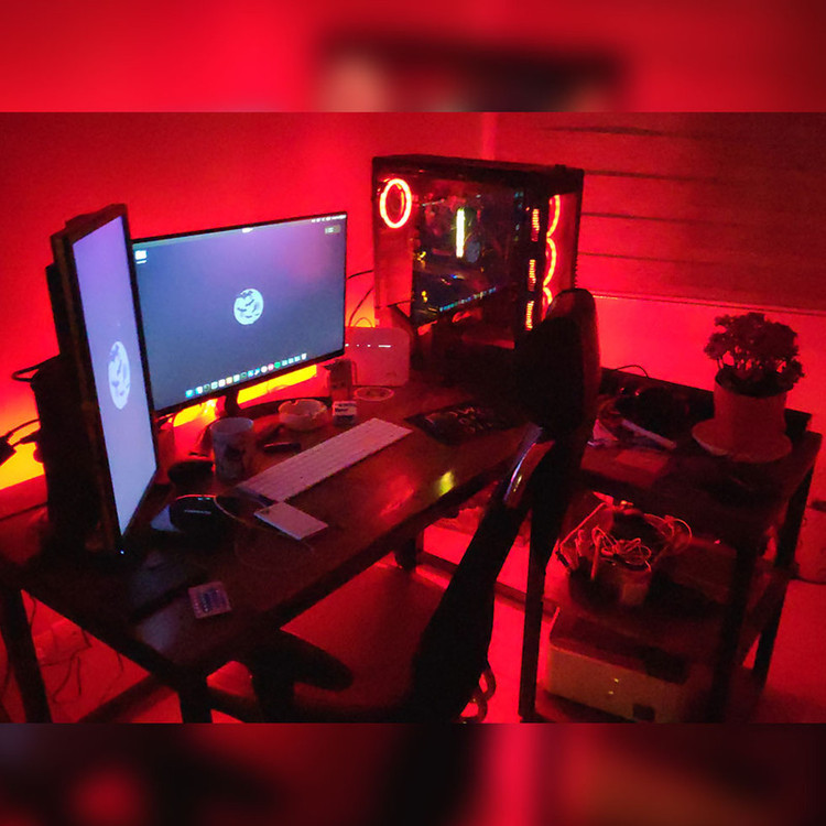 ریسه ال ای دی مدل شلنگی RGB طول 10 متر به همراه ریموت